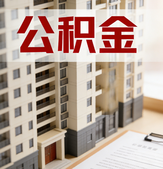 阜新公积金代办行业新生态：从“跑腿中介”到“生活管家”的进化之路